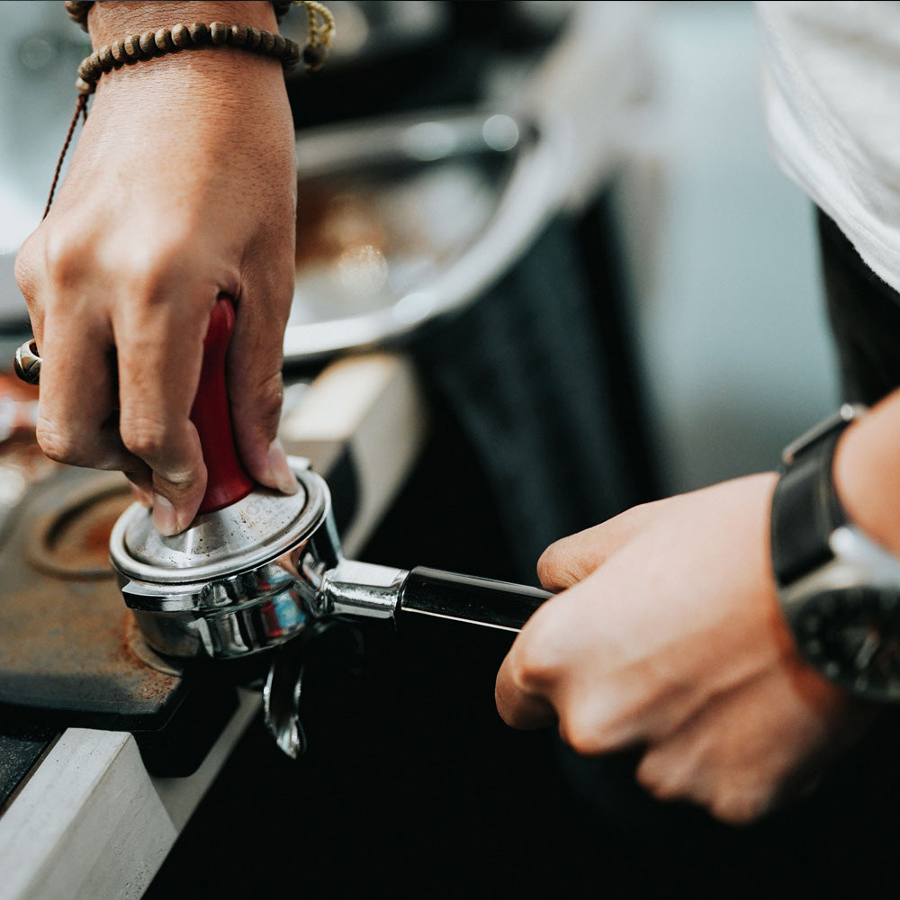 Baristakurs für Einsteiger in Hamburg | BASIC Workshop